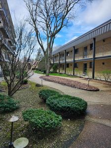6221 N Niagara Ave APT 305, Chicago, IL, 60631