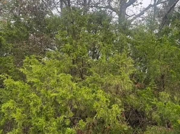 LOT 6 Tulley Ln, New Haven, MO 63068