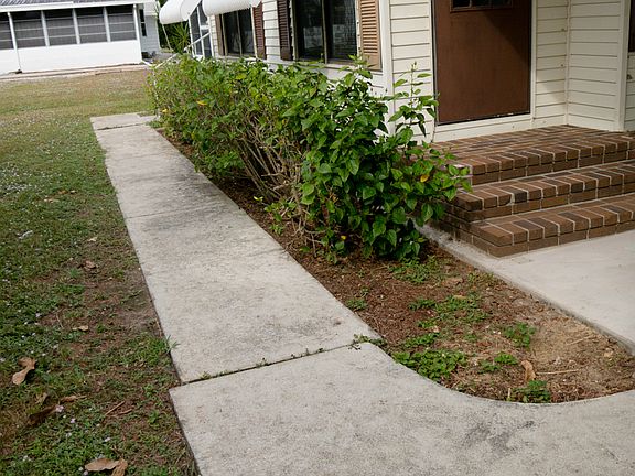 Hibiscus Hedge at 19355