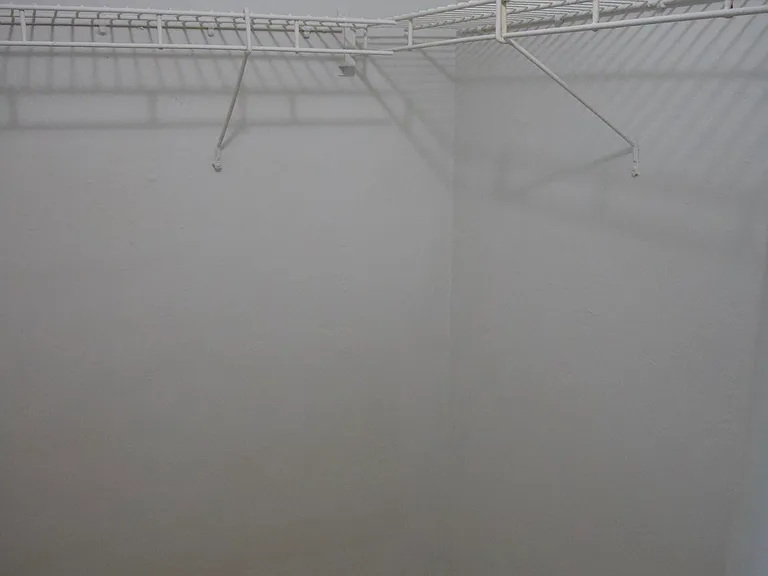 Bedroom Closet (Walk-in)