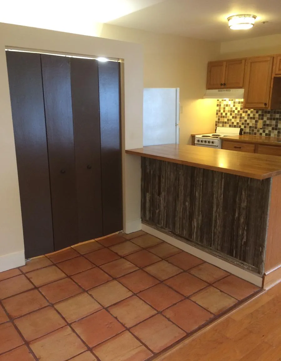 1 bed, 550 sqft, $1,495 — Photo 4