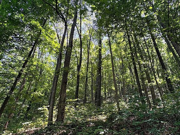 3rd image of 112 Shin Point Rd