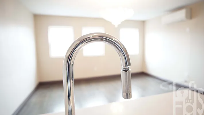 Rented by Lofts and Flats LLC | media 61