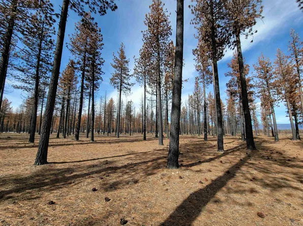 1125 Highway 36, Chester, CA 96020