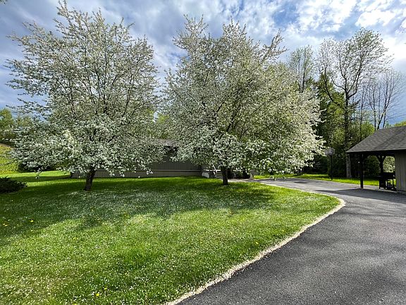 2nd image of 49 Honey Dr