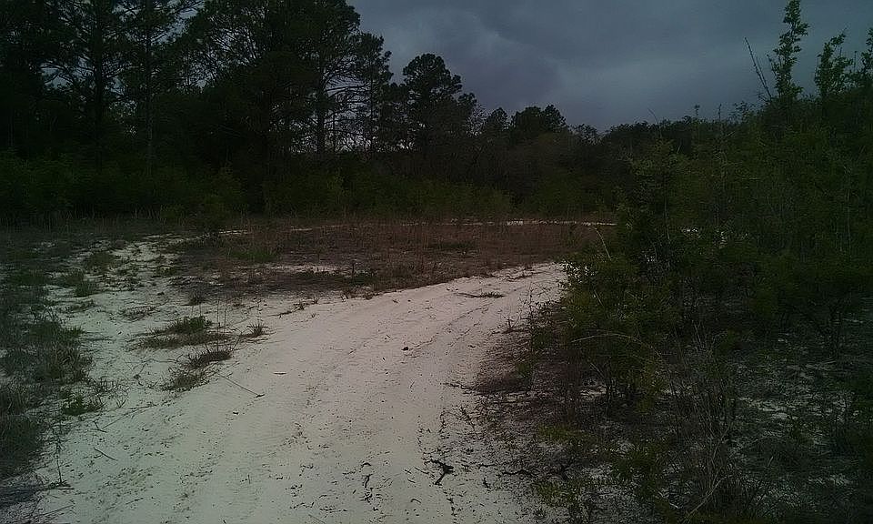 2nd image of 8335 Softstone Dr