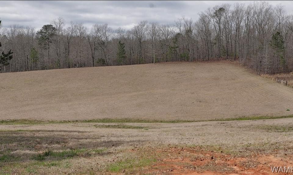 2nd image of 14588 Highway 171