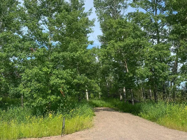Hupp St NE, Braham, MN 55006