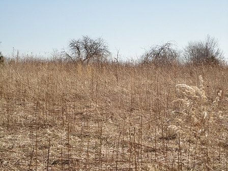 2nd image of Edwardsville Rd