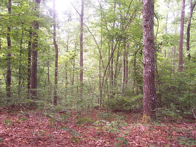 1st image of 0 Bailey Hills Rd