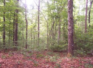0 Bailey Hills Rd, Franklin, NC 28734