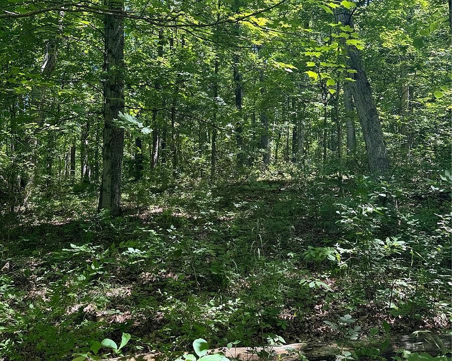 2nd image of 0 Democrat Spring Rd