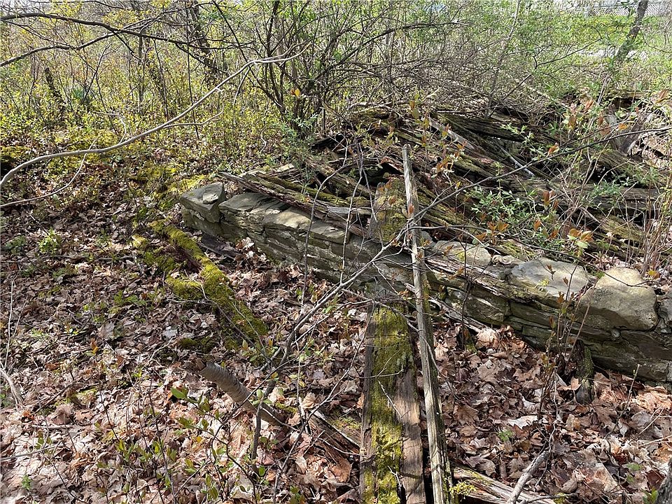 0 Chicken Coop Rd Trumansburg NY Zillow