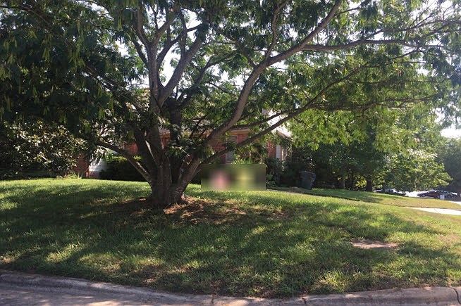 2nd image of 1900 Summerdale Dr