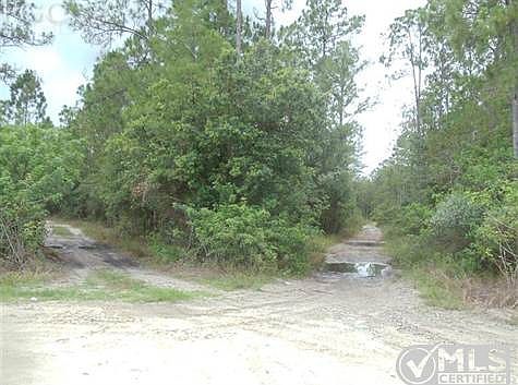 Both paths go back into property creek at the back ... best to take the road to right