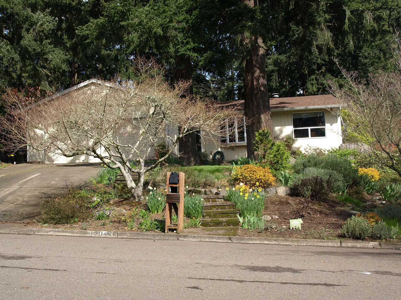 12045 NW Big Fir Cir photo 1