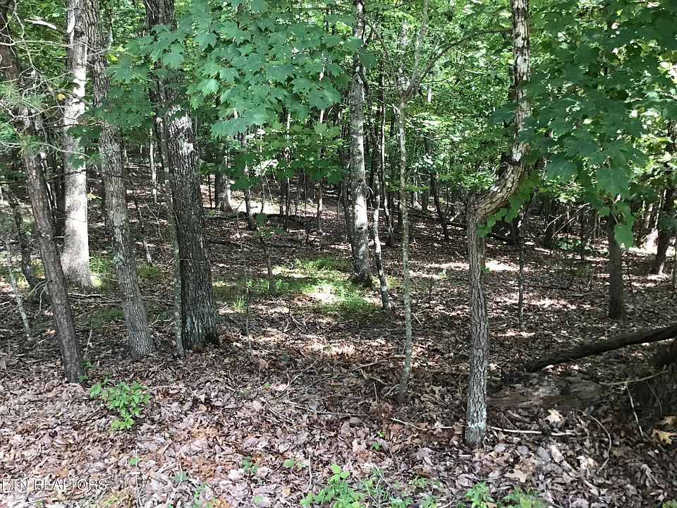 2nd image of 306 Rotherham Dr