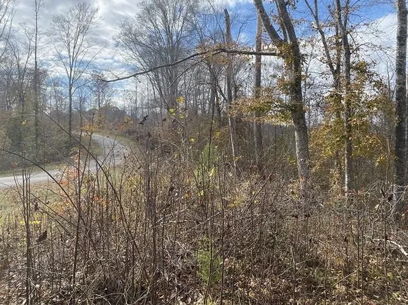 0 Boss Reeves Rd, Parsons, TN 38363