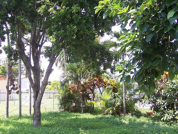 BIG FENCED BACKYARD