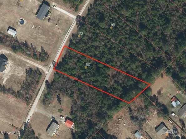 222 Tracy Drive, Burgaw, NC 28425