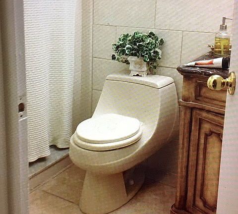 4th image of 312 Sir Lawrence Dr