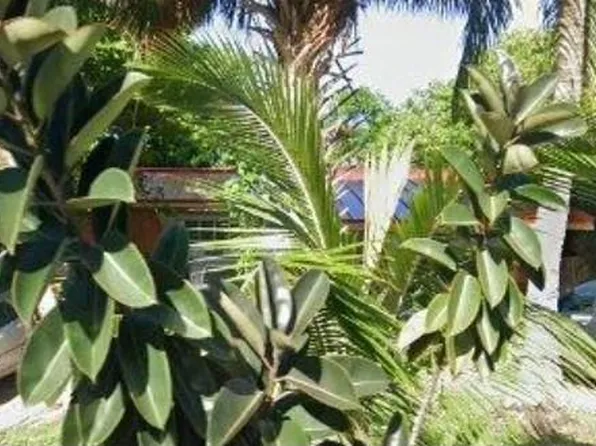 525 Curtis Rd, Opa Locka, FL 33054