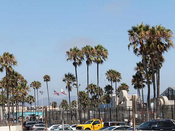 Venice Beach