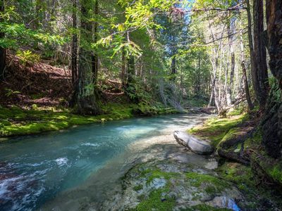 (Undisclosed Address), Cazadero, CA, 95421