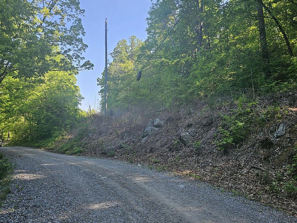 2nd image of 0 Neddy Mountain Rd