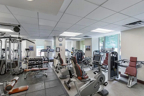 Rented by NY Living Solutions | media 8