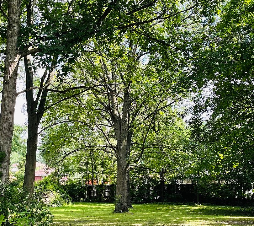 2nd image of 3 S Maplewood Ave