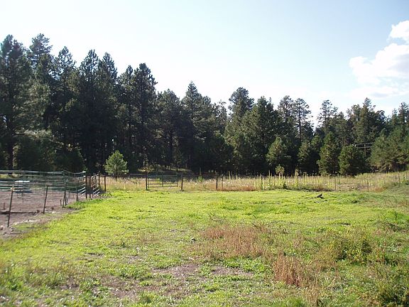 Pasture and National Forest behind