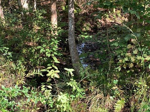 5th image of Beaver Creek Dr