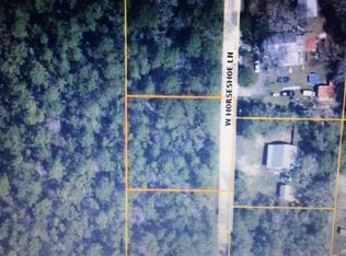 0 W Horseshoe Ln, Freeport, FL 32439