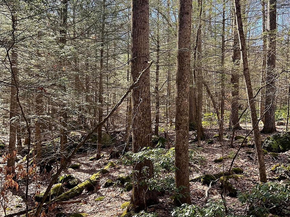 2nd image of LOT 10 E Mountain Rd