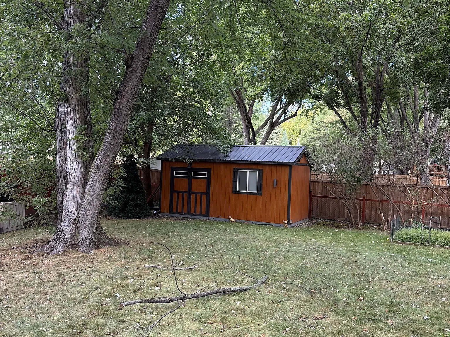 3 bed, 1.5 bath, 1827 sqft, $2,950 — Photo 4