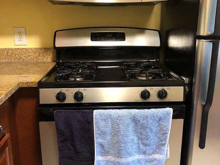1137 Morning Glory Dr — Photo 4