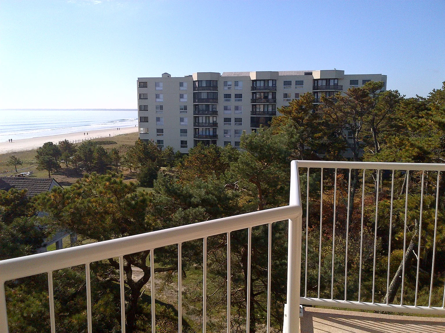 2 bed, 1379 sqft, $1,700 — Photo 4