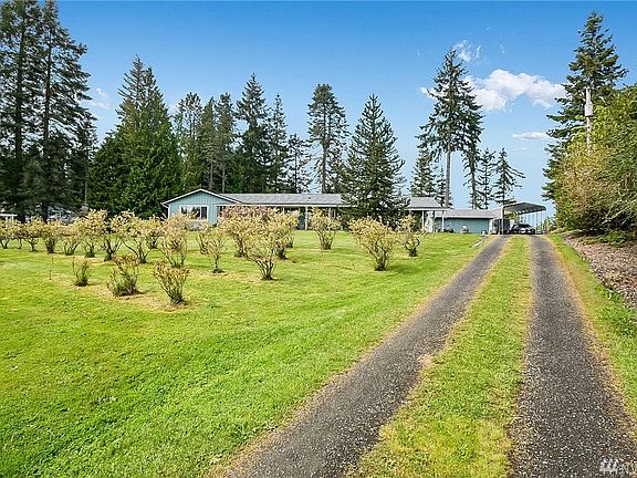 Blueberry bushes on the left.  RV cover not included.