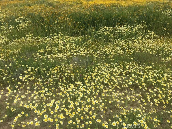 0 Dominguez U32lt199 Trl #199, Santa Margarita, CA 93453