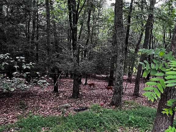 5th image of 171 View Ct
