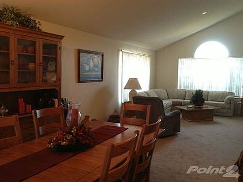 photo 1 (7)