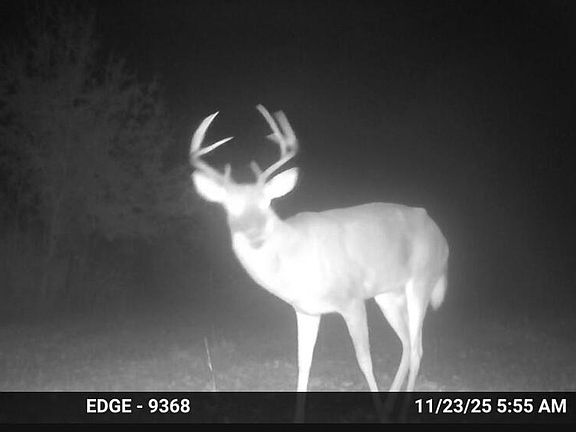 4th image of 1779 Old Quitman Rd