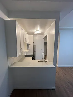 Rented by Voro NYC | media 25