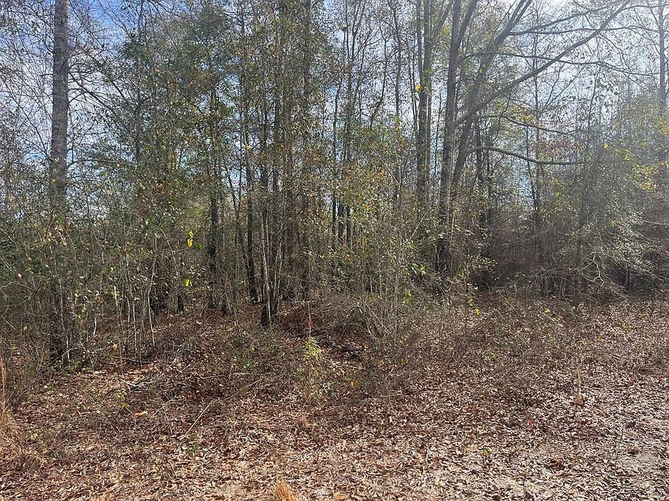 2nd image of County Road 99