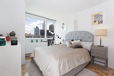 Rented by Space Marketing Shop