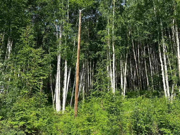 Nhn Snowbasin Rd, Fairbanks, AK 99709