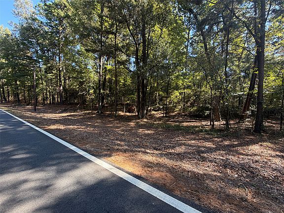 4th image of 0 Old Plain Dealing Rd