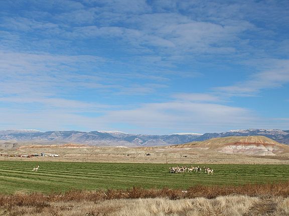 3rd image of 740 Highway 14