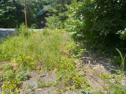 1st image of 0 N School House Gap Rd House Gap